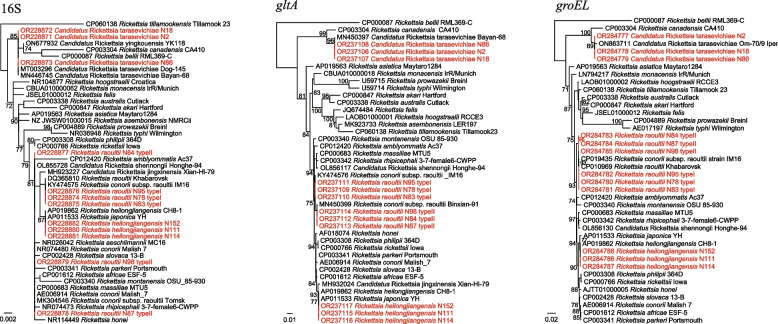 Fig. 3