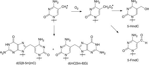 Scheme 2.