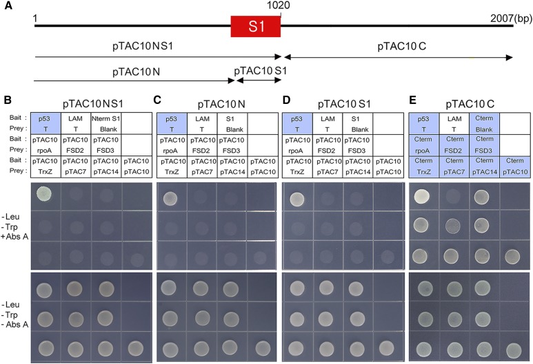 Figure 7.