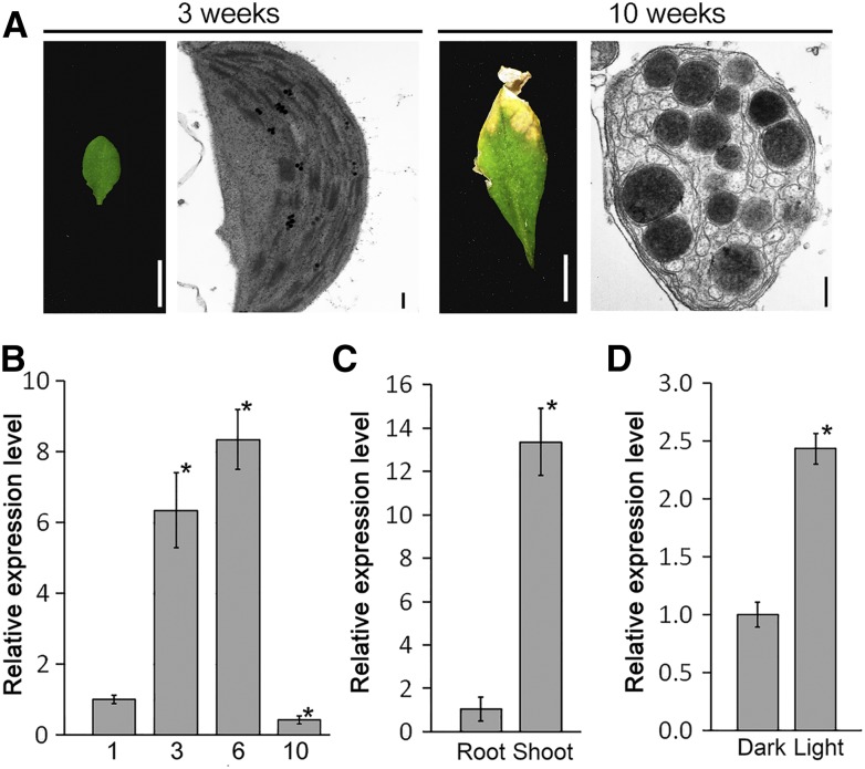 Figure 3.