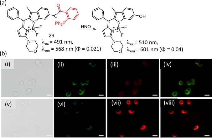 Figure 19