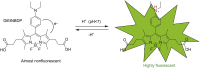 Fig. 13