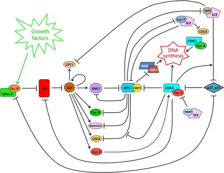 FIGURE 4