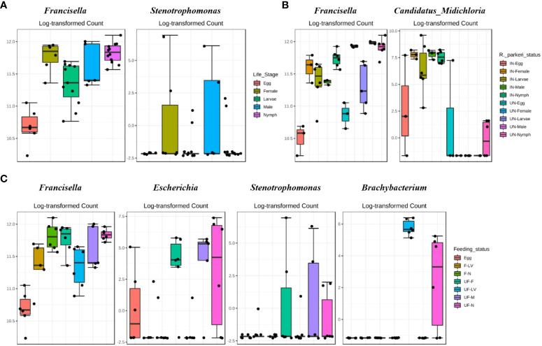 Figure 2