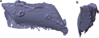 Fig. 6