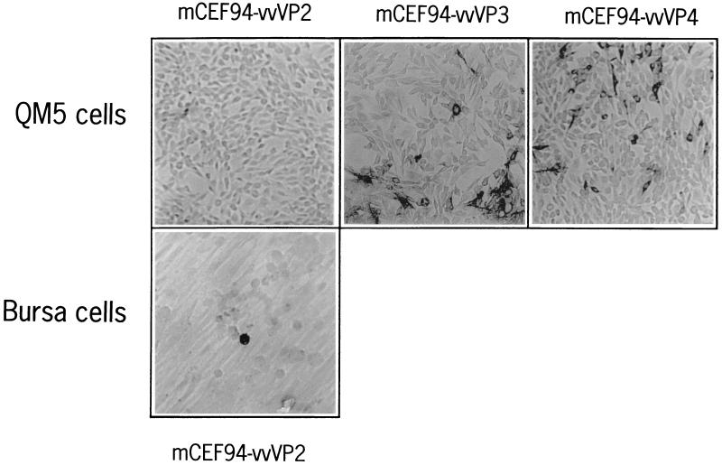 FIG. 7