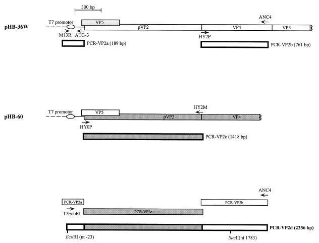 FIG. 6