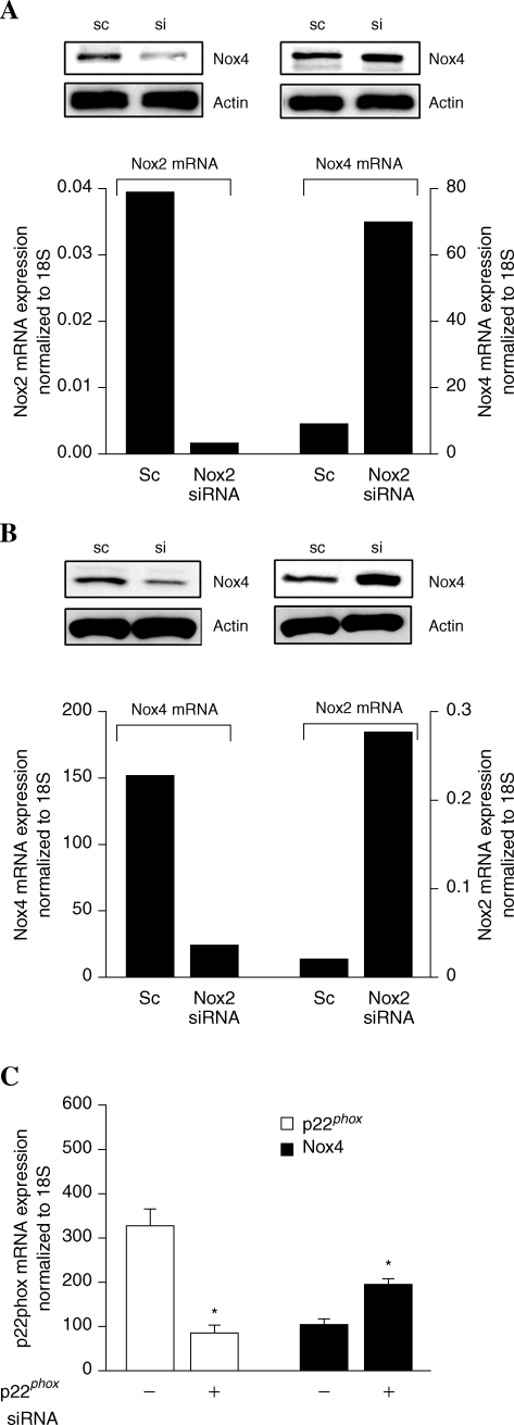 FIG. 7.