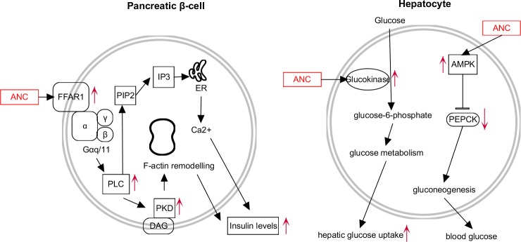 Fig 10