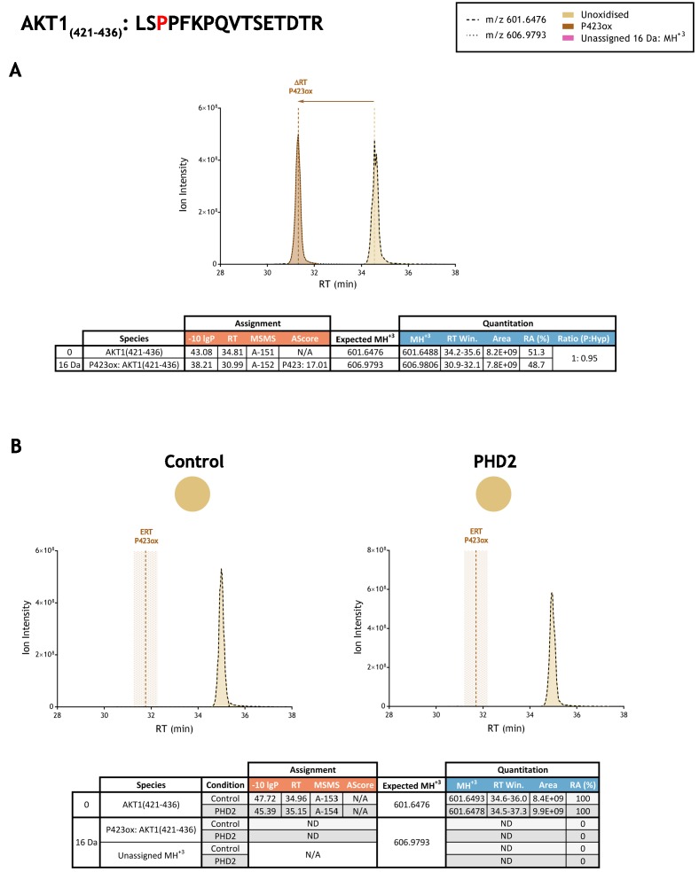 Figure 3—figure supplement 8.