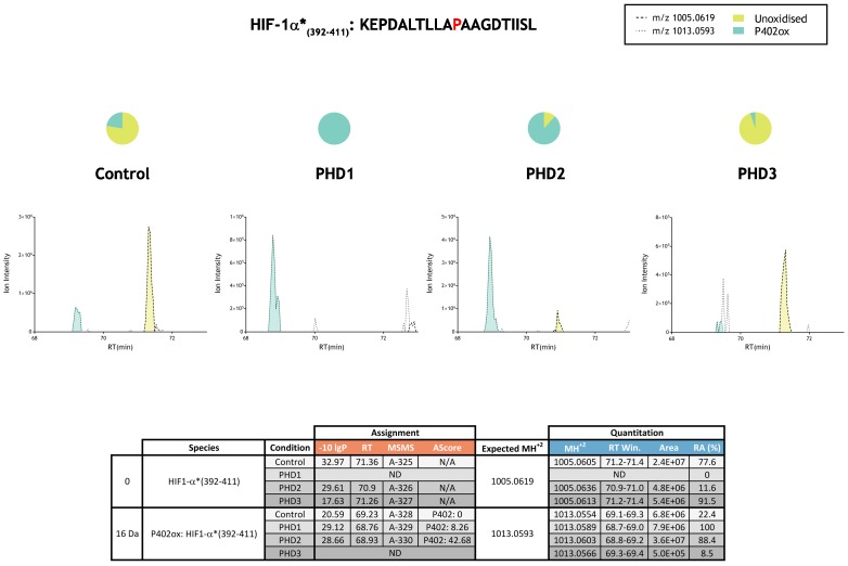 Figure 2—figure supplement 1.