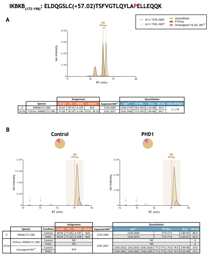 Figure 3—figure supplement 17.