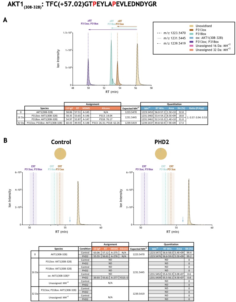 Figure 3—figure supplement 7.