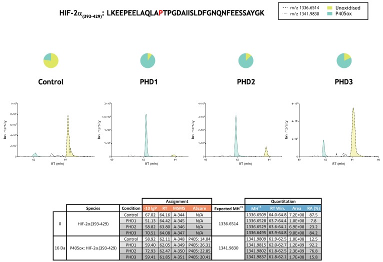 Figure 2—figure supplement 3.