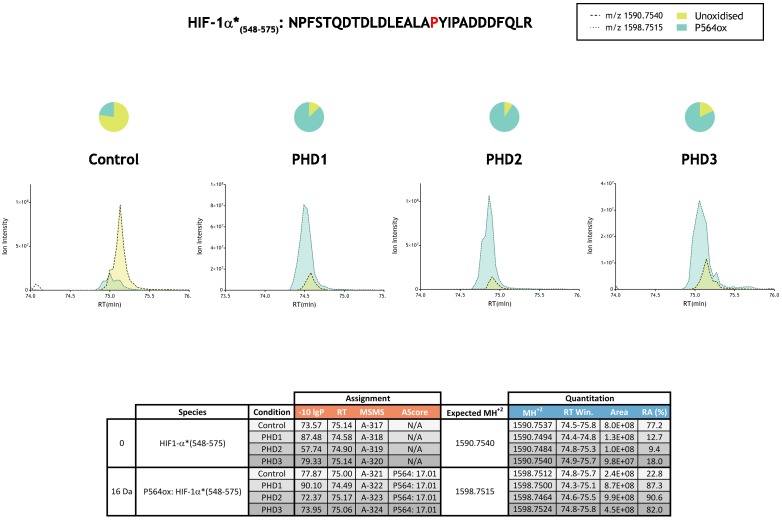 Figure 2—figure supplement 2.