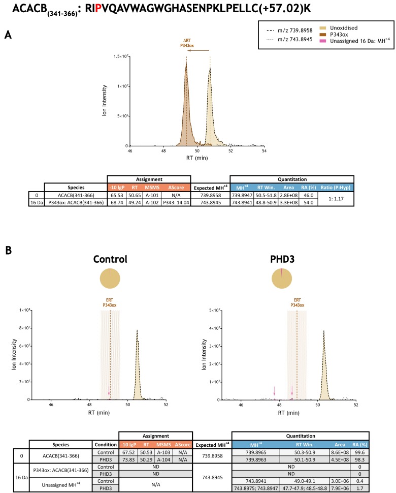 Figure 3—figure supplement 1.