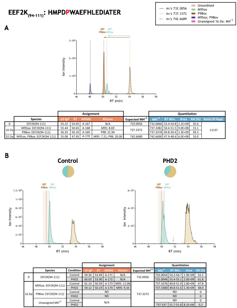 Figure 3—figure supplement 13.