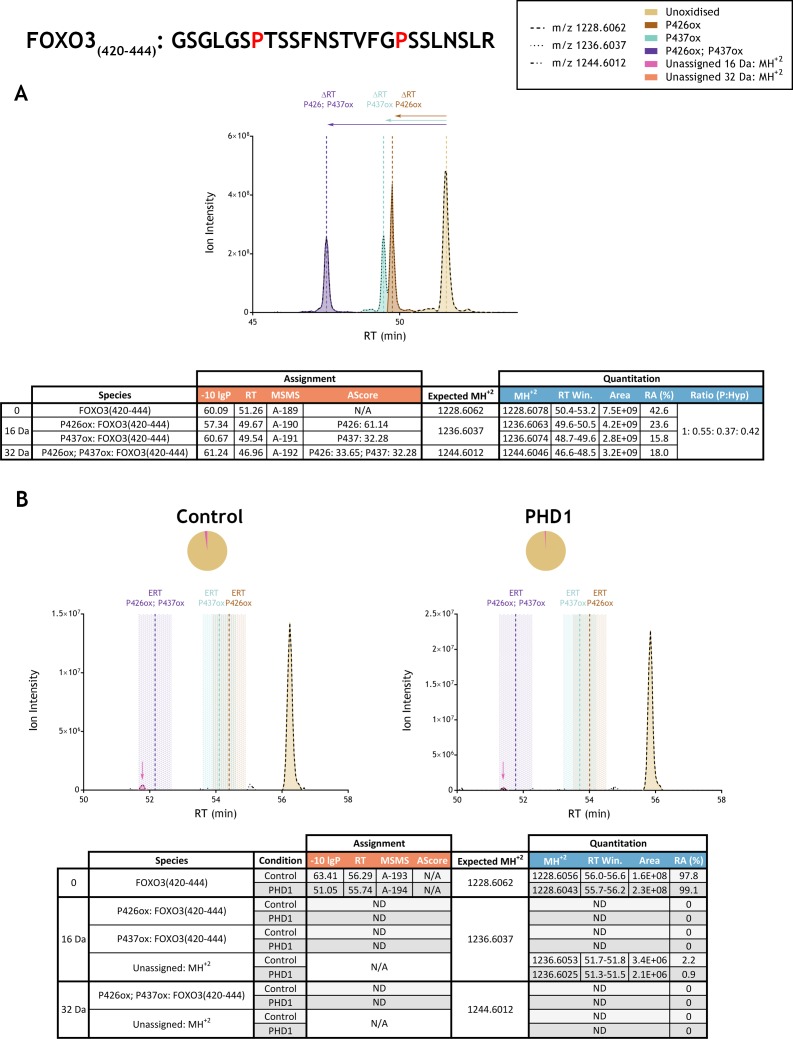 Figure 3—figure supplement 16.