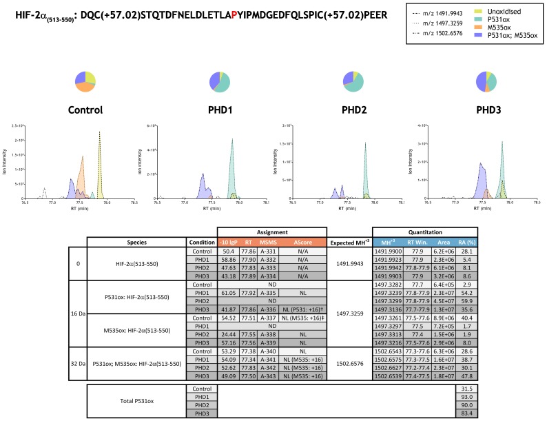 Figure 2—figure supplement 4.