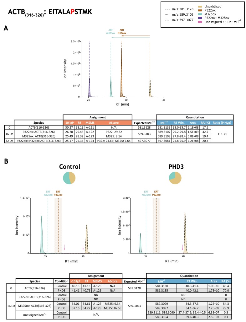 Figure 3—figure supplement 4.