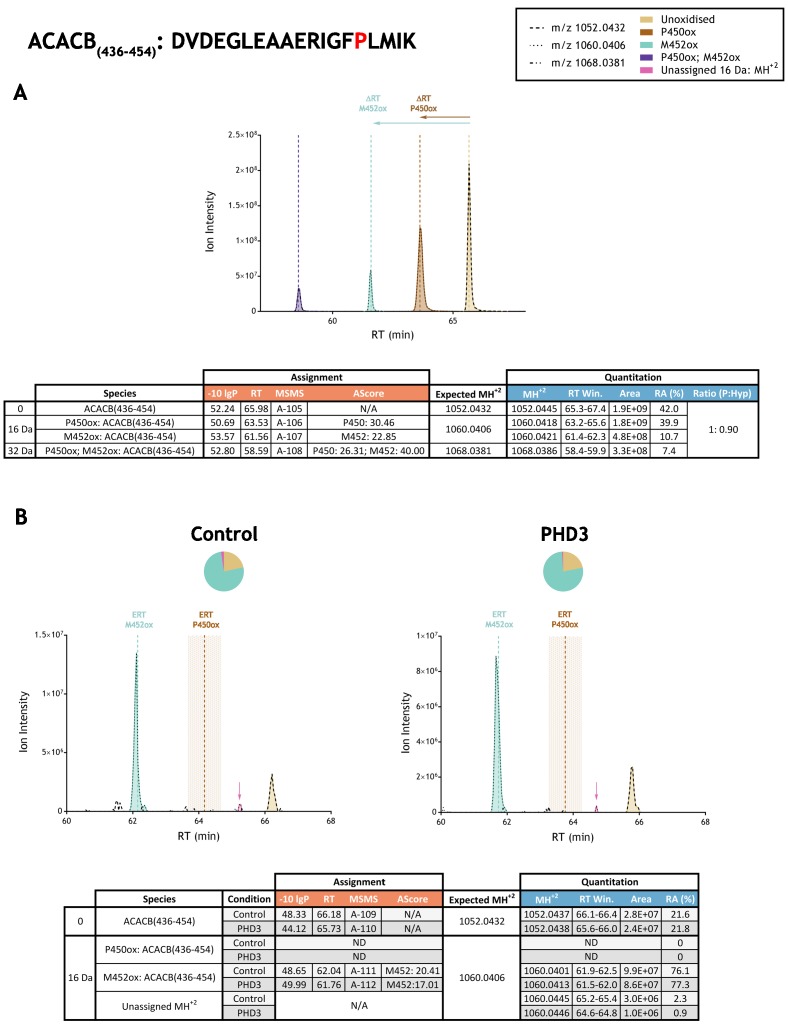 Figure 3—figure supplement 2.