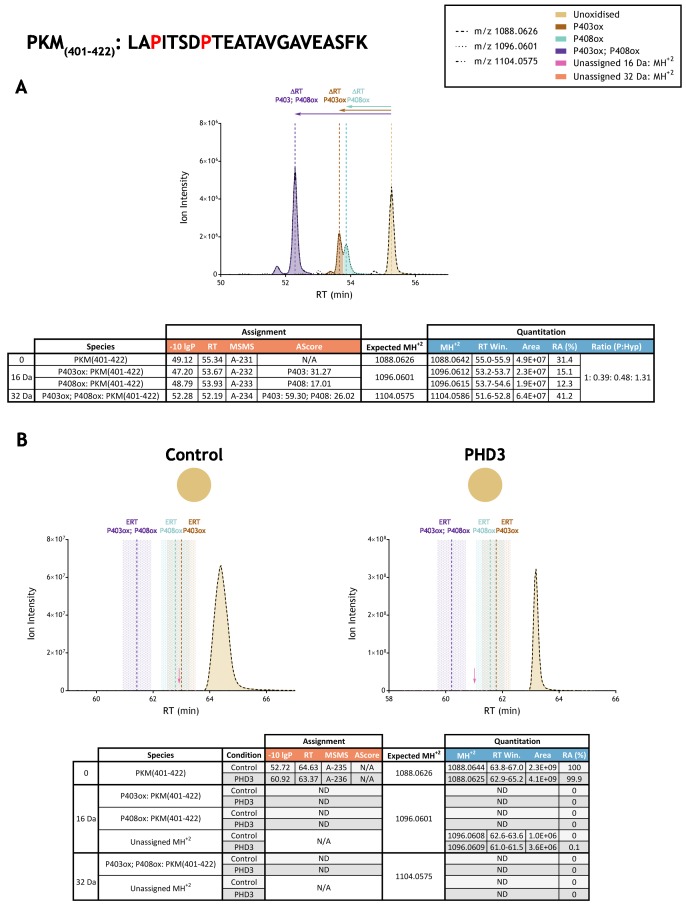 Figure 3—figure supplement 21.