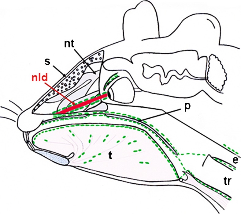 Fig. 8