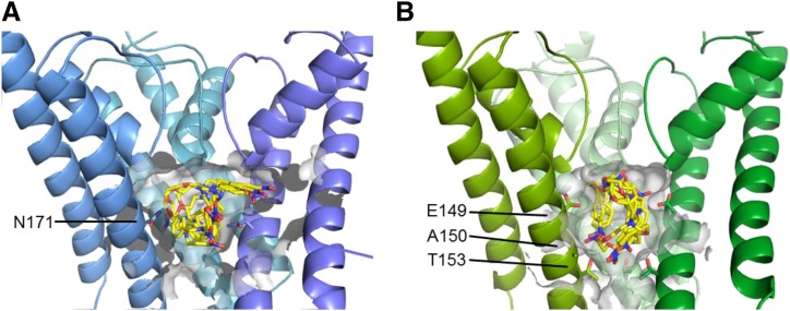 Fig. 8.