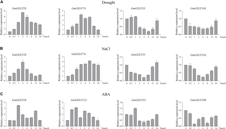 FIGURE 10