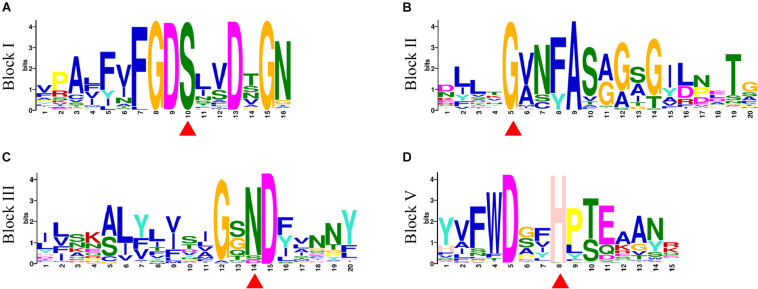 FIGURE 3