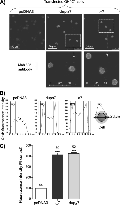 FIGURE 1.