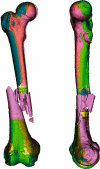 Fig 6