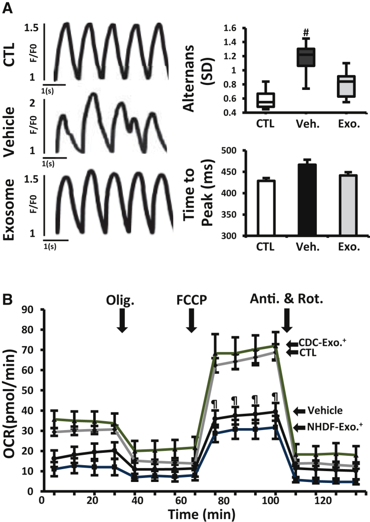 Figure 6