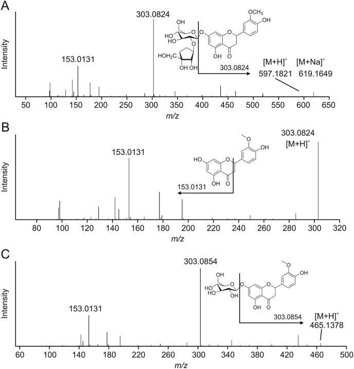 Fig. 12