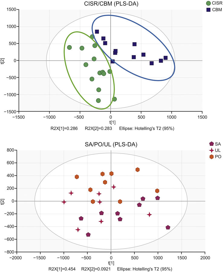 Fig. 10