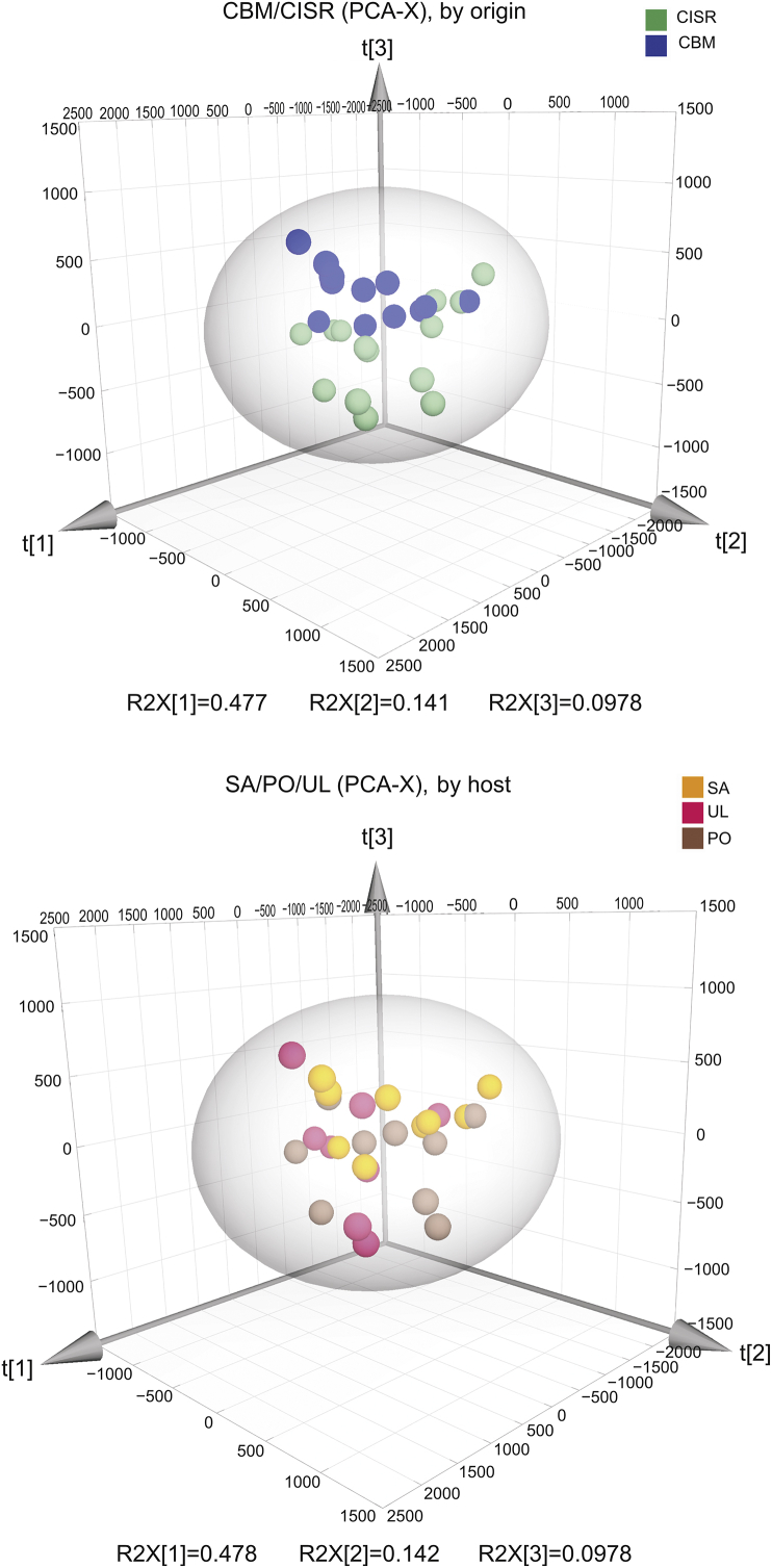 Fig. 9