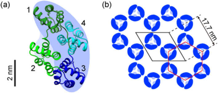 Fig. 1