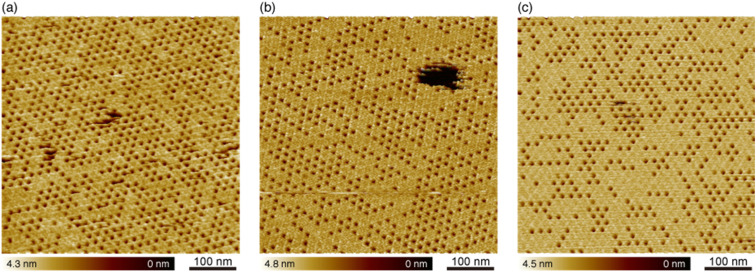 Fig. 3