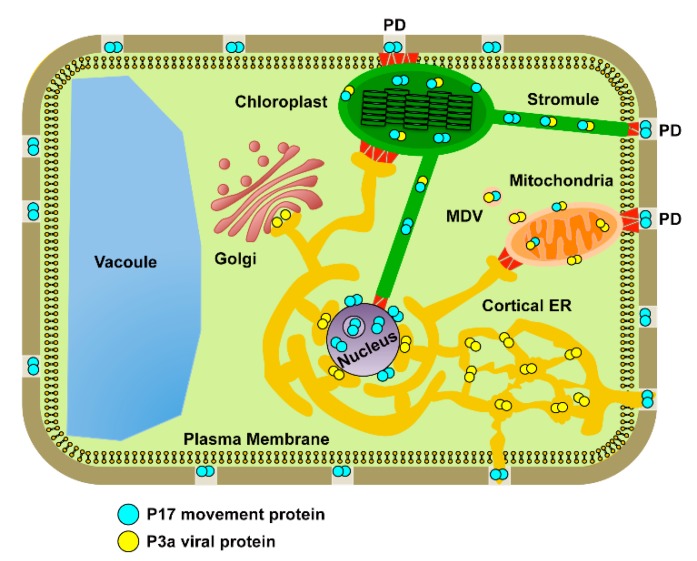 Figure 10