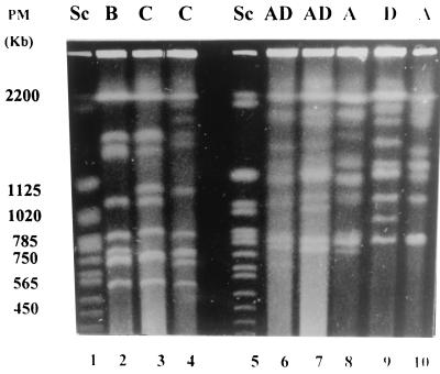 FIG. 1