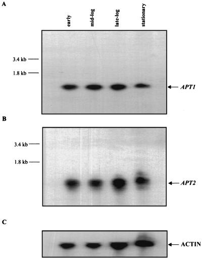 FIG. 4