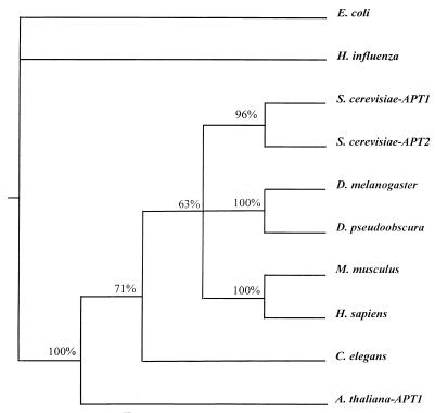 FIG. 5