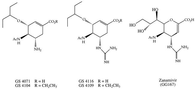 FIG. 1