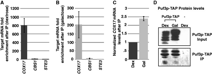 Figure 9.