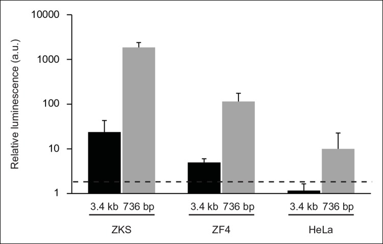 Figure 1—figure supplement 1.