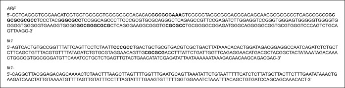 Figure 2—figure supplement 1.