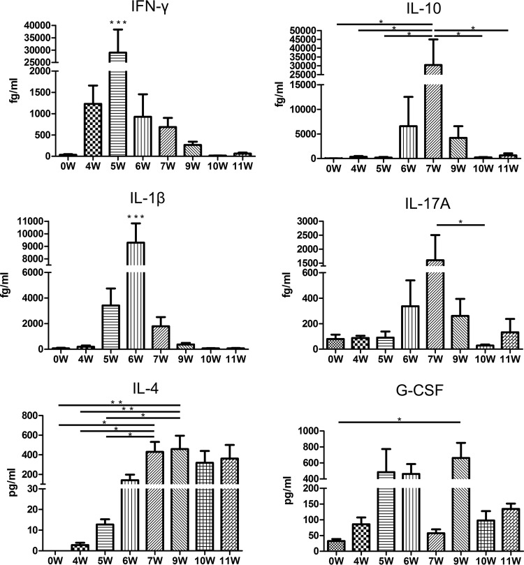 FIG 3