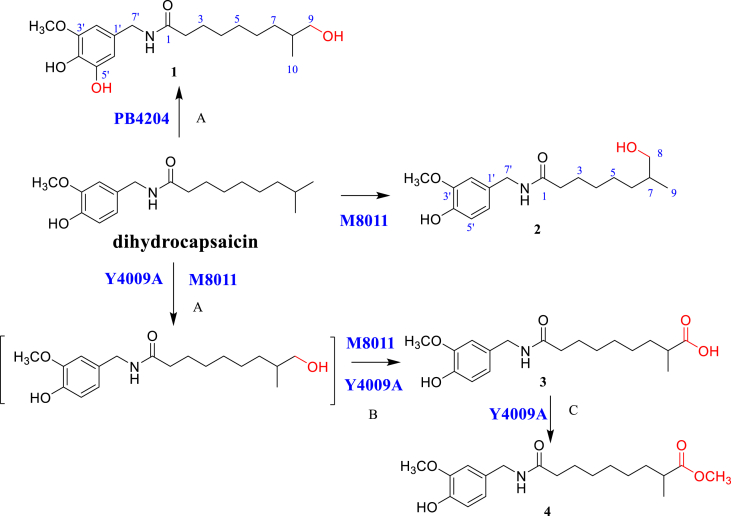 Figure 1