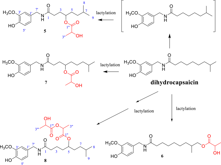 Figure 2