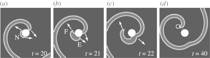 Figure 1.